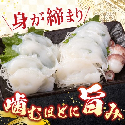 【北海道根室産】たこ足500g前後～800g前後×1本 G-70008