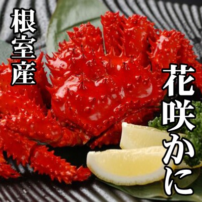 【北海道根室産】花咲かに300g前後～450g前後×3尾 G-70010