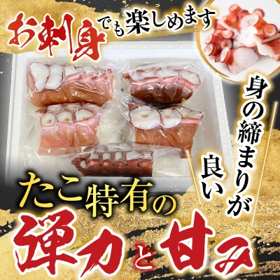 【北海道根室産】たこ足3～6P(計800g～1.4kg前後) A-76036