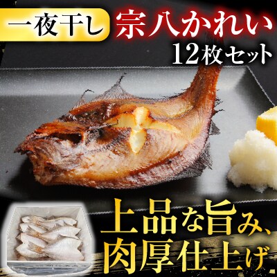 【北海道根室産】一夜干し宗八かれい12枚 G-14006