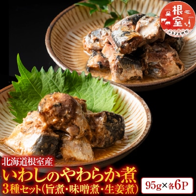 【北海道根室産】いわしのやわらか煮セット G-09020