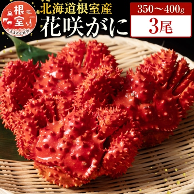 【北海道根室産】花咲かに350~400g×3尾 G-19001