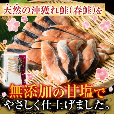 無添加甘塩天然沖獲れ鮭5切×3P(計15切、約750g) G-11037