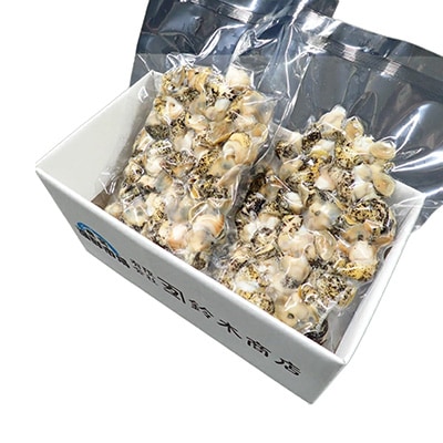 【北海道根室産】生食用灯台つぶ(ボイル済)250g×2P(計500g) G-11040