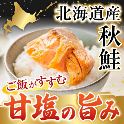 無添加甘塩天然秋鮭5切入×3P(計15切、約750g) G-28038
