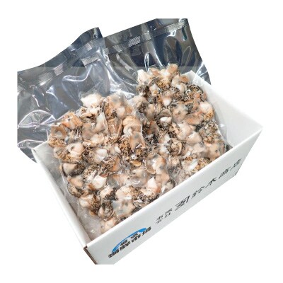 【北海道根室産】生食用灯台つぶ(ボイル済)250g×2P G-28040