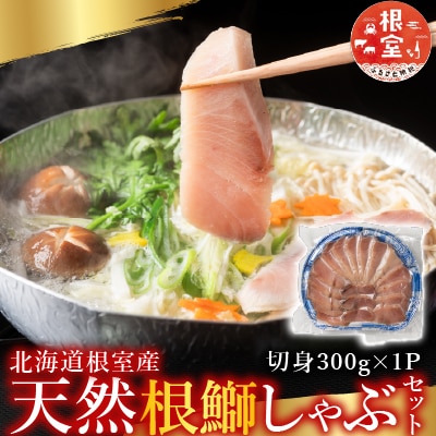 【北海道根室産】天然ぶりしゃぶしゃぶセット300g G-42005