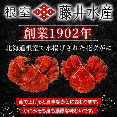【北海道根室産】ボイル花咲かに3～6尾(計約2kg) B-42088