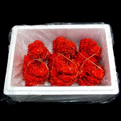 【北海道根室産】ボイル花咲かに3～6尾(計約2kg) B-42088