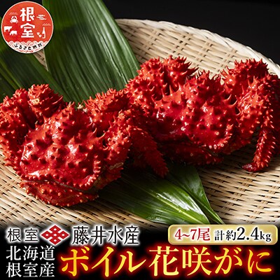 【北海道根室産】ボイル花咲かに4～7尾(計約2.4kg) C-42080