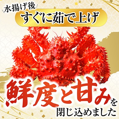 【北海道根室産】ボイル花咲がに2尾(計約700g) G-42010