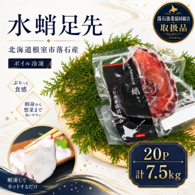【北海道根室産】ボイル水たこ足先20P(計7.5kg) E-20003