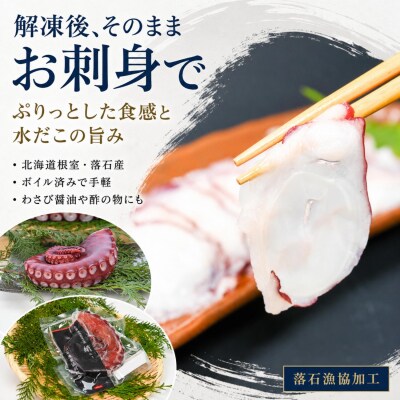 【北海道根室産】ボイル水たこ足先20P(計7.5kg) E-20003