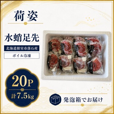 【北海道根室産】ボイル水たこ足先20P(計7.5kg) E-20003
