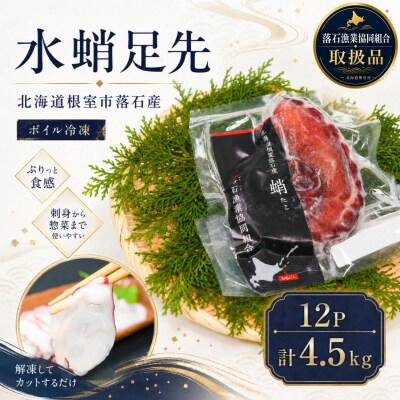 【北海道根室産】ボイル水たこ足先12P(計4.5kg) D-20004