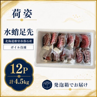【北海道根室産】ボイル水たこ足先12P(計4.5kg) D-20004