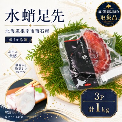 【北海道根室産】ボイル水たこ足先3P(計1kg) A-20008