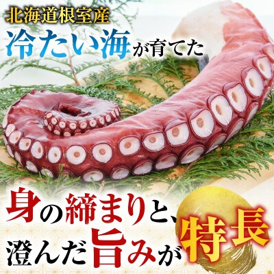 【北海道根室産】ボイル水たこ足4本(計4.5kg) D-20003