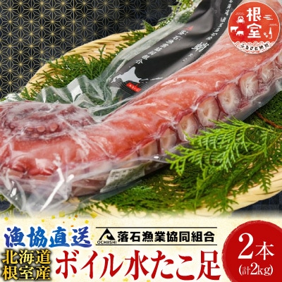 【北海道根室産】ボイル水たこ足2本(計2kg) C-20003