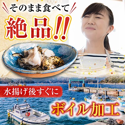 【北海道根室産】灯台つぶ200g×2P(計400g) G-20002