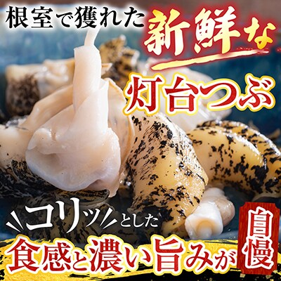 【北海道根室産】灯台つぶ200g×4P(計800g) A-20006