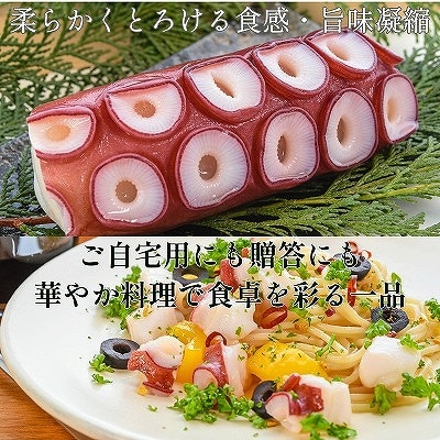 【北海道根室産】ボイル水たこ足ブロック500g、スライス150g A-20010