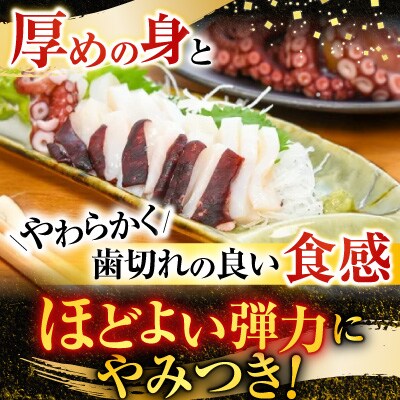 【北海道根室産】ボイル水たこ頭カット2P(計1kg) G-20001