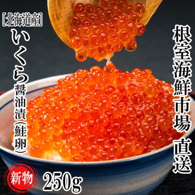 根室海鮮市場<直送>いくら醤油漬け(秋鮭卵)(新物)250g×1P A-28240