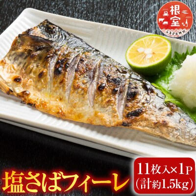 塩さばフィーレ11枚入×1P(計約1.5kg) G-14021