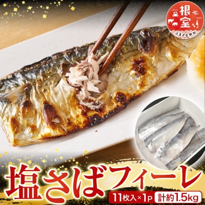 塩さばフィーレ11枚入×1P(計約1.5kg) G-28021