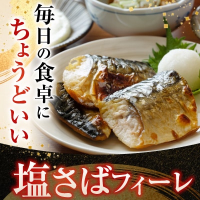 塩さばフィーレ11枚入×1P(計約1.5kg) G-28021