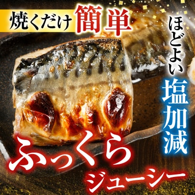 塩さばフィーレ11枚入×1P(計約1.5kg) G-28021