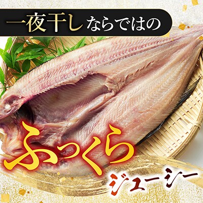 根室海鮮市場<直送>開き縞ほっけ一夜干し2枚 G-28055