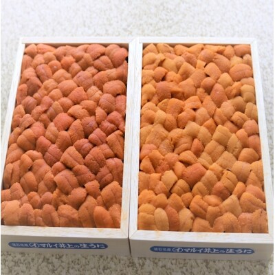 エゾバフンウニバラ詰め(赤系)140～150g×1折 A-71047