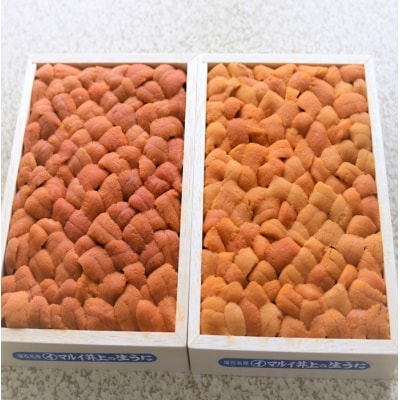 【年内配送可○】エゾバフンウニバラ詰め(赤系)140～150g×1折 A-71047