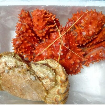 【北海道根室産】花咲ガニ1尾・毛がに1尾(2種計900g前後) C-57055