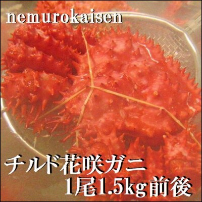 【北海道根室産】花咲ガニ1.5kg前後(チルド便) D-57037