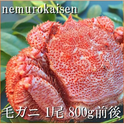 【北海道根室産】毛がに800g前後 D-57040