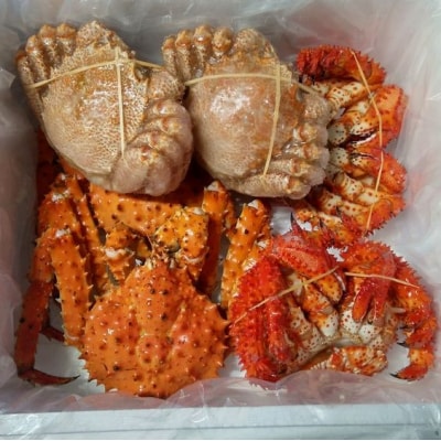 【北海道根室産】本タラバガニ2尾、花咲ガニ2尾、毛ガニ2尾(3種計2.6kg前後) D-57045