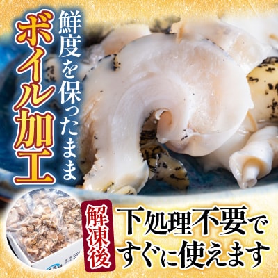 【北海道根室産】生食用灯台つぶ(ボイル済み)250g×4P(計1kg) A-28123