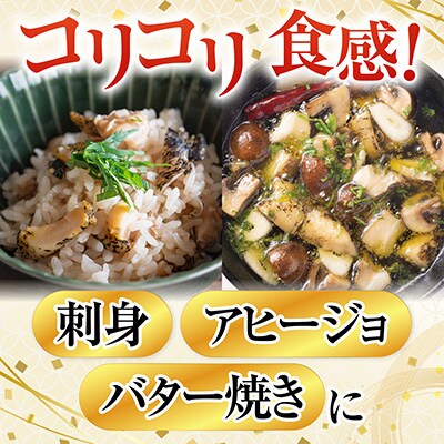 【北海道根室産】生食用灯台つぶ(ボイル済み)250g×4P(計1kg) A-11120