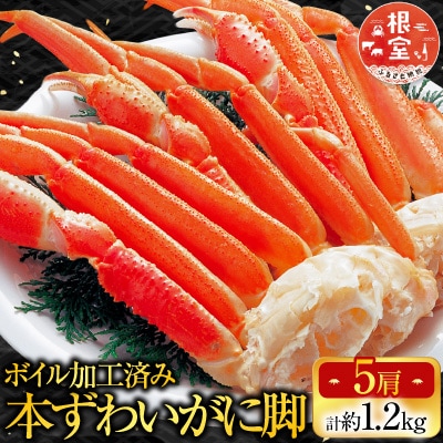 ボイル本ずわいがに脚5肩(計約1.2kg) A-14261