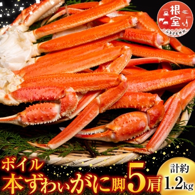 ボイル本ずわいがに脚5肩(計約1.2kg) A-28248