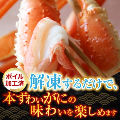 ボイル本ずわいがに脚5肩(計約1.2kg) A-28248