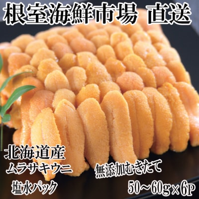 無添加むきたてムラサキウニ塩水パック50～60g×6P[5月初旬以降発送] C-14053