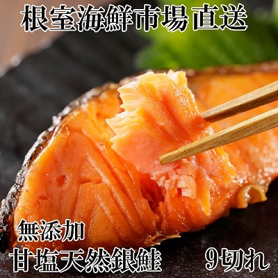 無添加天然銀鮭切身9切 G-28075