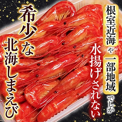 根室海鮮市場＜直送＞北海しまえび500g×1P B-28127