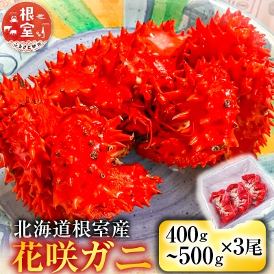 【北海道根室産】花咲ガニ400～500g×3尾 B-11119