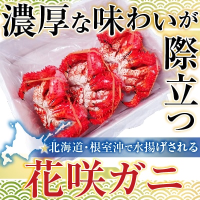 【北海道根室産】花咲ガニ400～500g×3尾 B-11119
