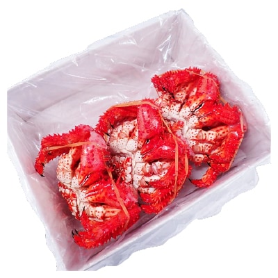 【北海道根室産】花咲ガニ400～500g×3尾 B-11119